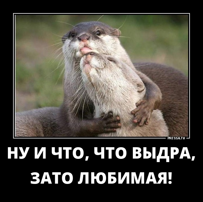 Демотиваторы отличной подборочкой для зарядки позитивом на весь день! Демотиваторы отличной подборочкой для зарядки позитивом на весь день!