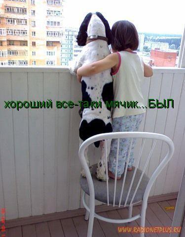 Давайте улыбаться вместе! :) (28поводов)