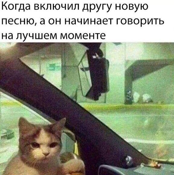 Очередной набор картинок для позитива и животворящего смеха Очередной набор картинок для позитива и животворящего смеха