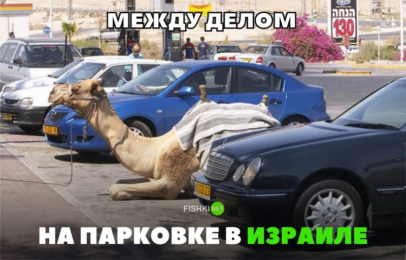 Юмор Империи Авто 1 2 34567891011 1213141516171819 2021 2223 24 252627282930 313233 34 35