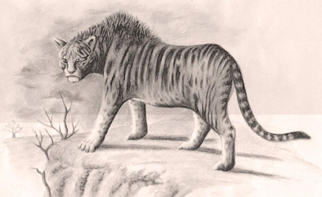 Загадочный зверь Мнгва - африканский тигр, ростом с осла