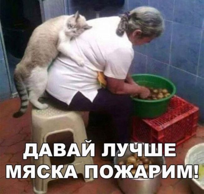 Забавные картинки с надписями для настроения (12 фото) Забавные картинки с надписями для настроения (12 фото)
