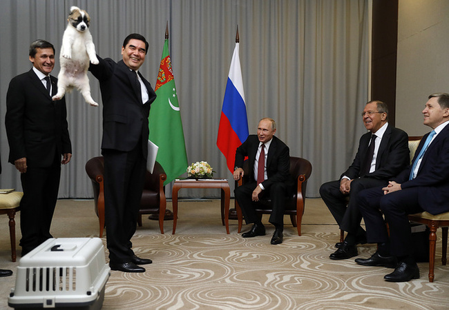 Президент Туркменистана подарил Путину щенка алабая по кличке Верный