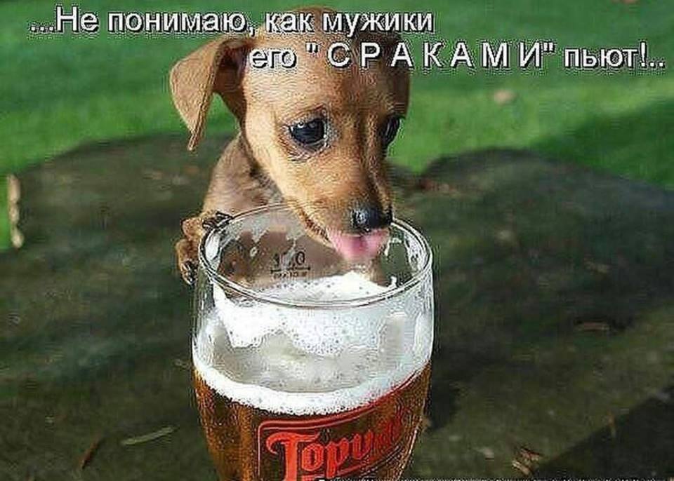 "    ..."  !!  !!!