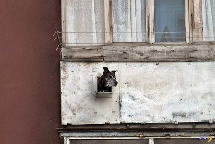 Всё о балконах Всё о балконах