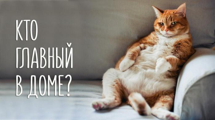 1637478_original (700x393, 36Kb)