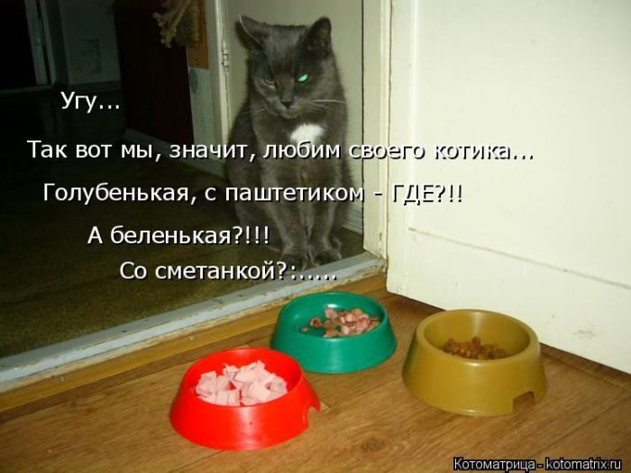 Самые весёлые котоматрицы)) Самые весёлые котоматрицы))
