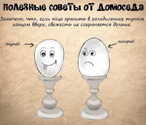Полезные советы Полезные советы