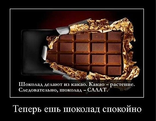 Афоризмы всё в шоколаде Афоризмы всё в шоколаде