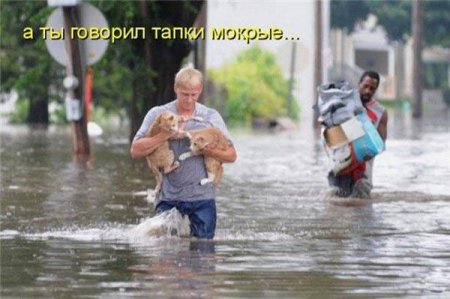 Смешные картинки о животных с подписями.