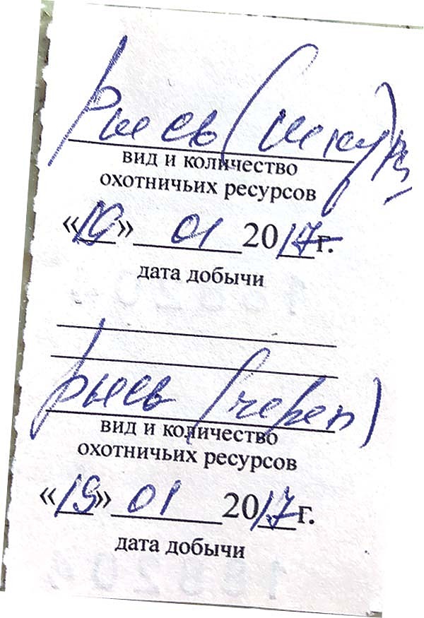Охота на рысь: успешная пятая попытка Охота на рысь: успешная пятая попытка
