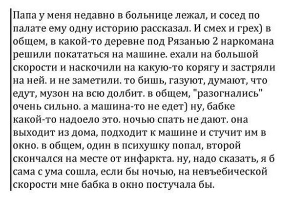 Смешные и прикольные короткие истории