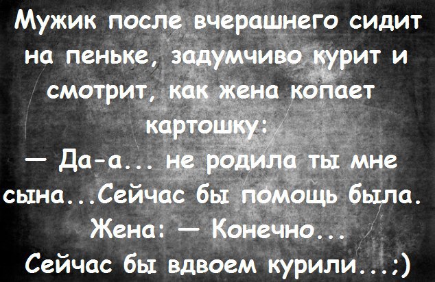 Сделай подарок нервной системе — включи пофигизм. Сделай подарок нервной системе — включи пофигизм.