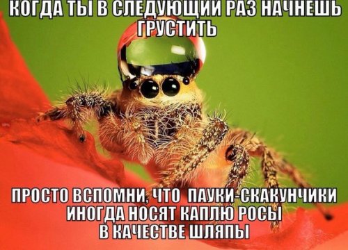 Пятничные анекдоты