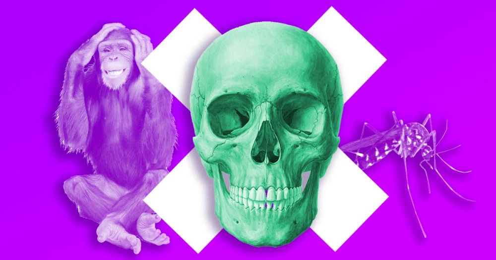 5 животных, от которых люди заразились смертельными заболеваниями