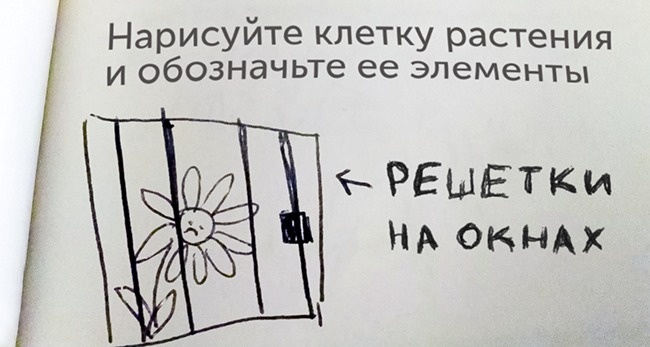 Проверяя задания, учителя плакали от смеха… Детская логика неоспорима! Проверяя задания, учителя плакали от смеха… Детская логика неоспорима!