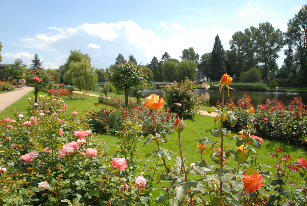 ПАРК РОЗ В ГЕРМАНИИ/ 'ROSARIUM UETERSEN'