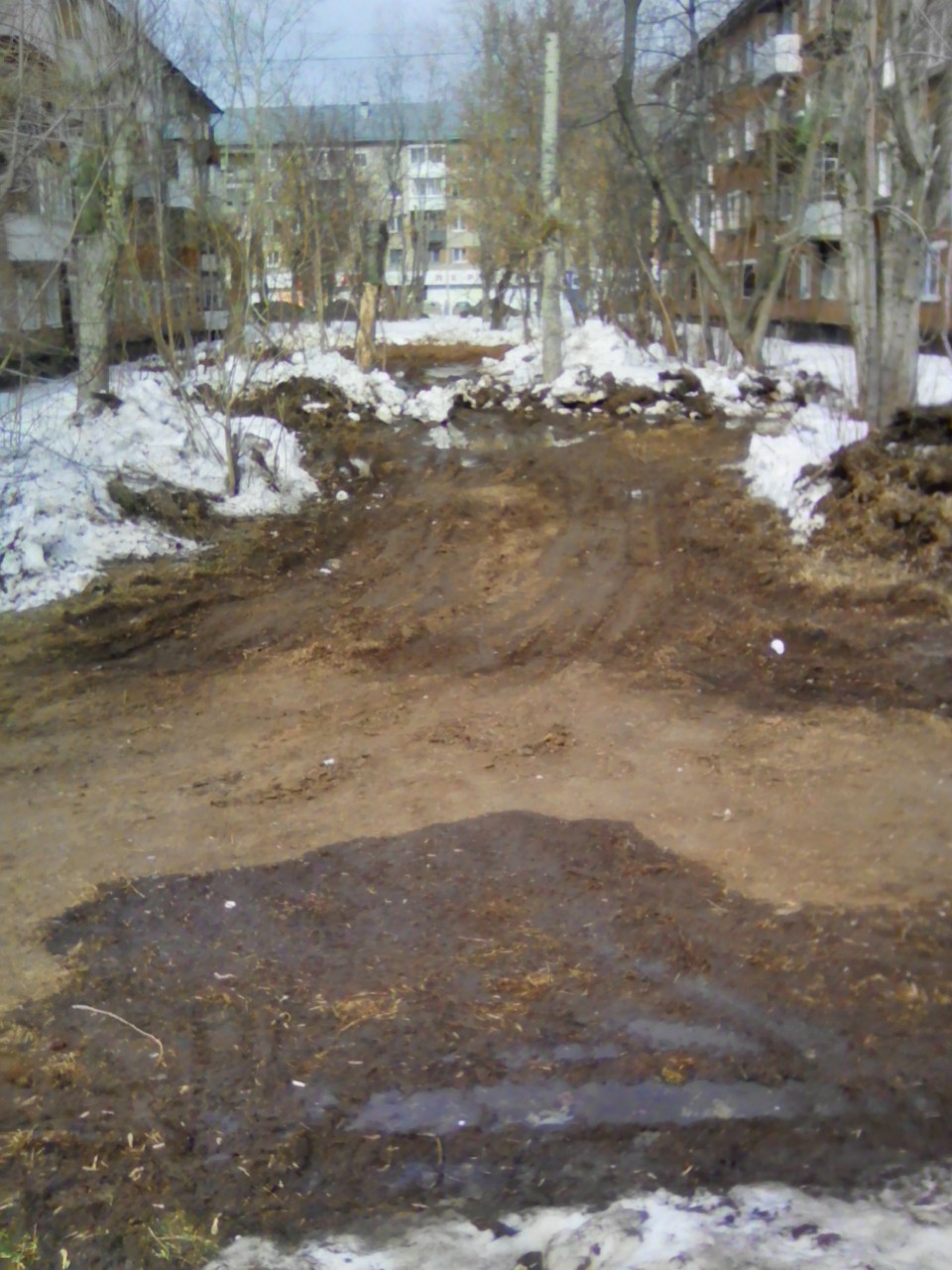 Весна пришла???!!! Весна пришла???!!!