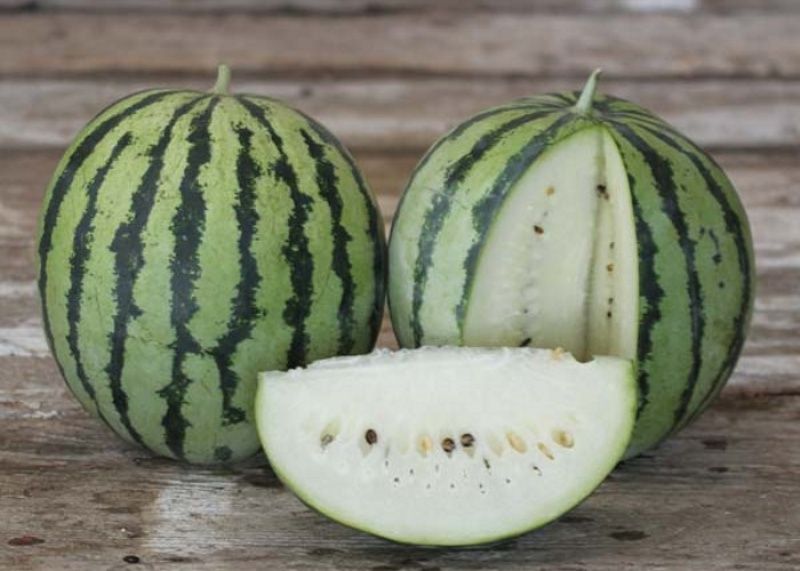 В Астрахани презентовали новый вид арбуза со вкусом ванили