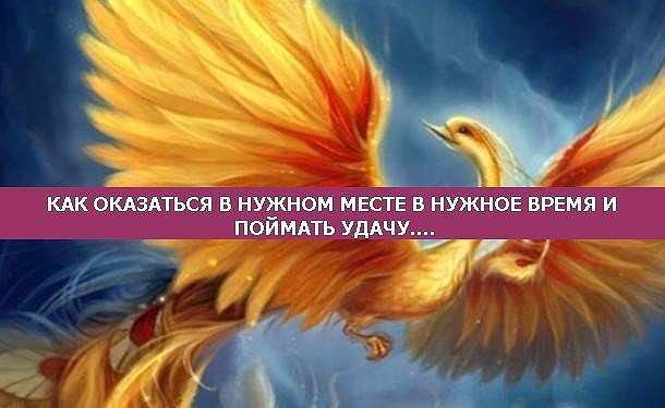 Как оказаться в нужном месте в нужное время и поймать удачу... Как оказаться в нужном месте в нужное время и поймать удачу...