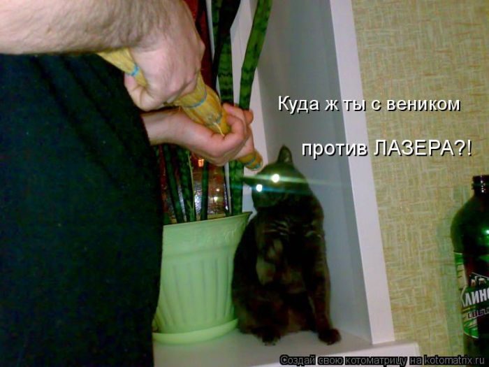 Самые весёлые котоматрицы)) Самые весёлые котоматрицы))
