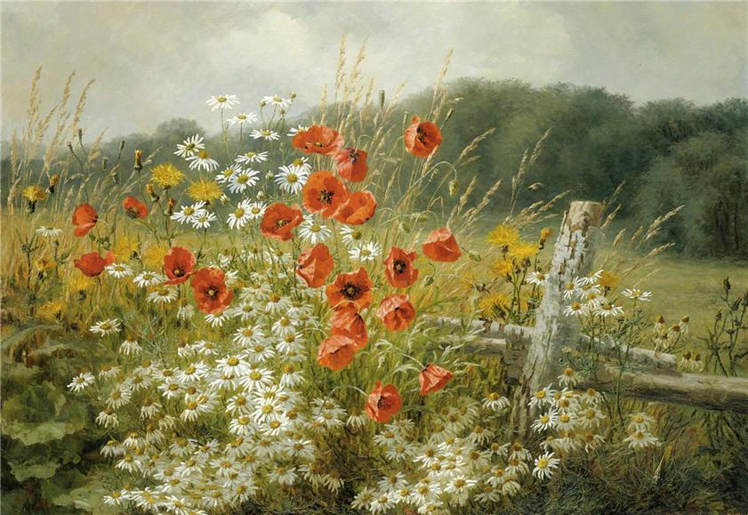Праздник природы - цветы полевые... Датская художница Anthonore Christensen
