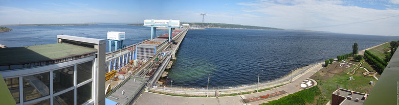 В Саратовском водохранилище обнаружили огромное количество рыб-мутантов В Саратовском водохранилище обнаружили огромное количество рыб-мутантов