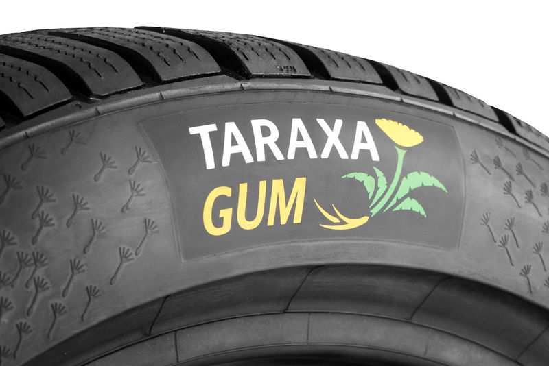 Taraxagum - не что иное, как производное из русского одуванчика