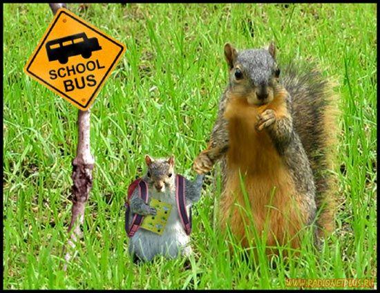 Давайте улыбаться вместе! :) (28поводов)