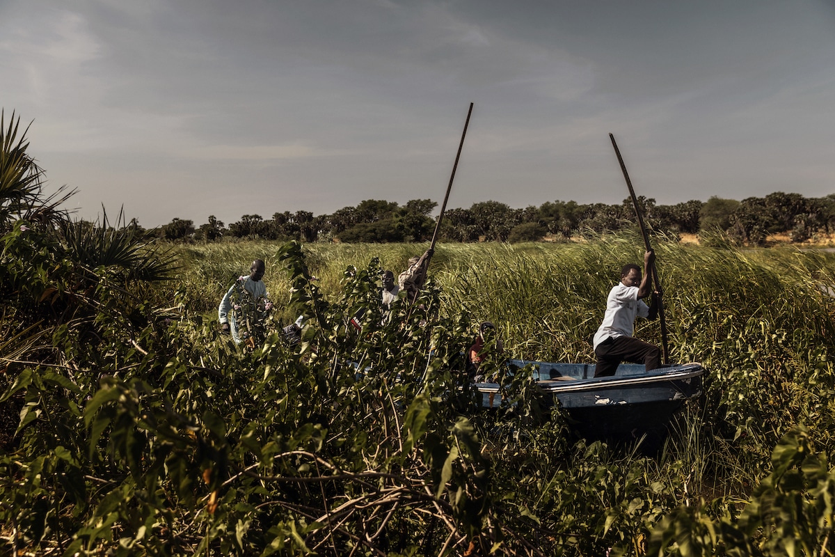 Драматургия жизни в лучших фотографиях конкурса «World Press Photo – 2019» 10