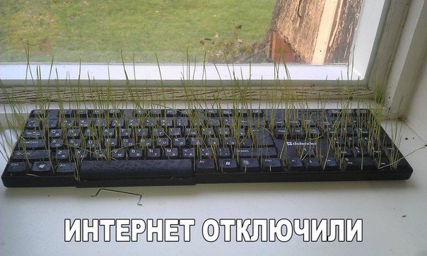 Убойные заряды юмора на всю праздничную неделю Убойные заряды юмора на всю праздничную неделю