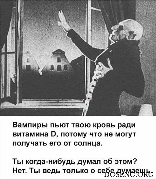 Прикольные картинки Прикольные картинки