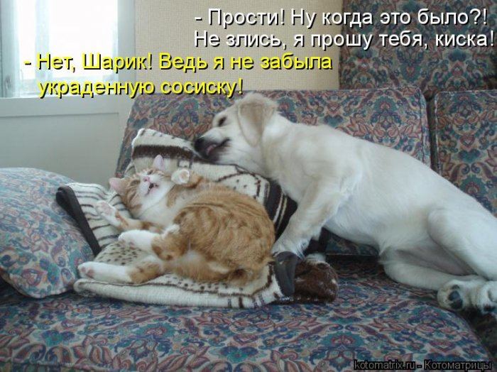 Мысли вслух :)