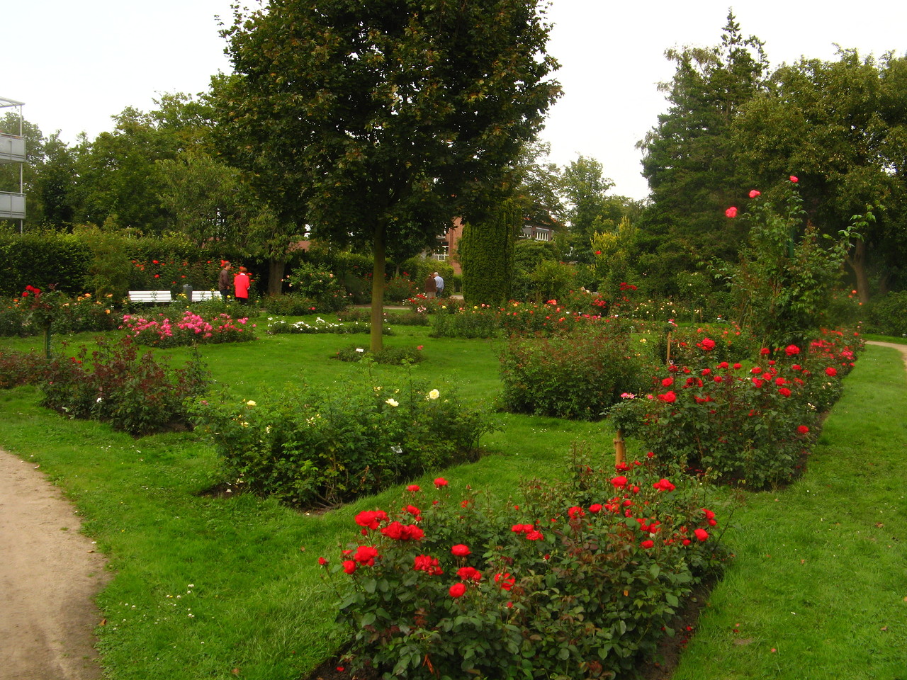 ПАРК РОЗ В ГЕРМАНИИ/ 'ROSARIUM UETERSEN'