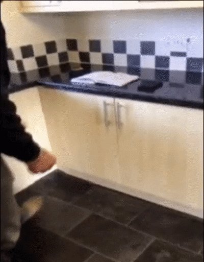 Когда мастер немного туповат gif, гифки, кухня, подборка