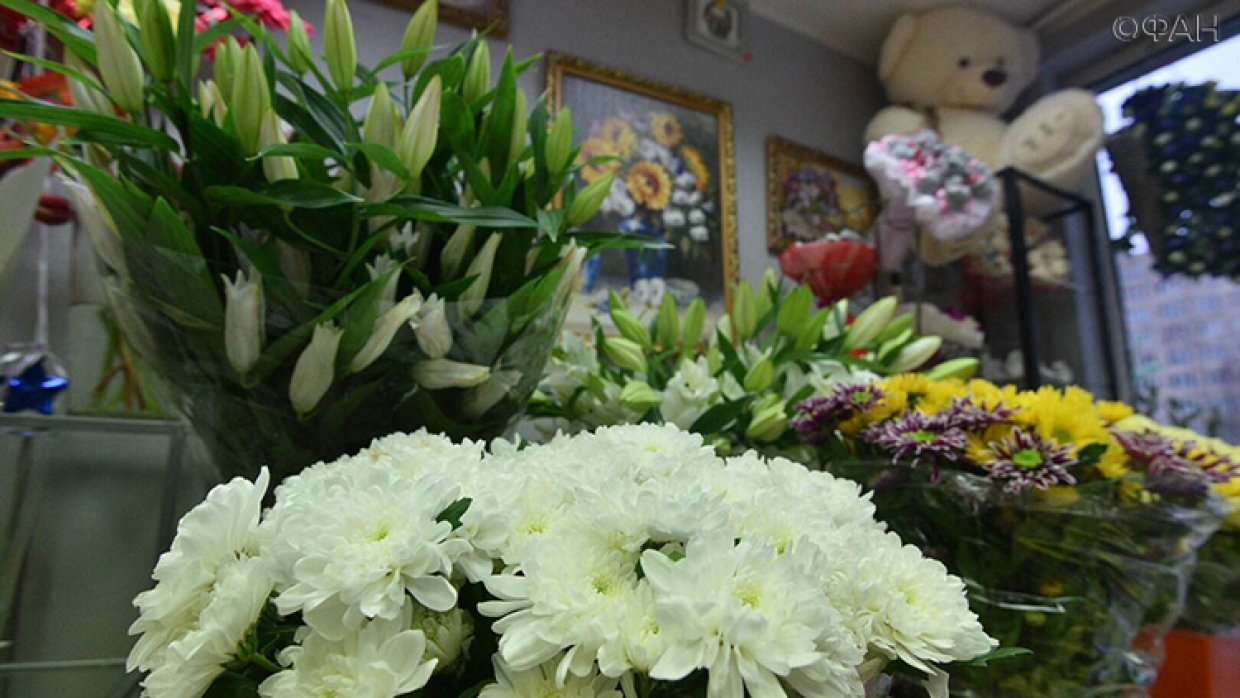 Только цветы и блокноты: врачам и учителям в РФ могут запретить принимать подарки