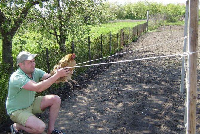 На даче все рОвня, как в бане. Юморное стихотворение На даче все рОвня, как в бане. Юморное стихотворение