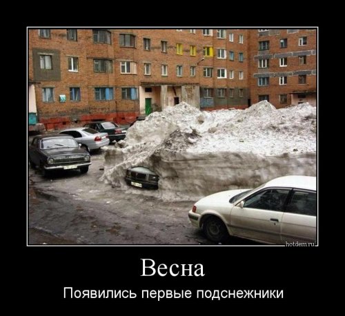 Демотиваторы-приколы (15 шт) Демотиваторы-приколы (15 шт)