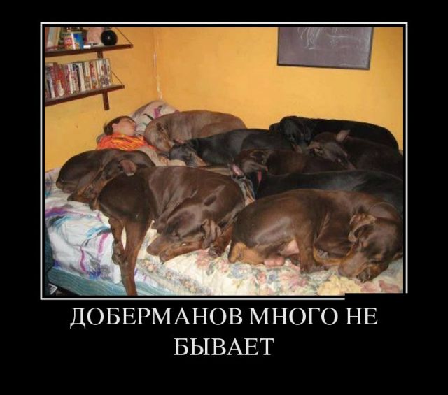 Забавные и веселые демотиваторы со смыслом (11 фото) Забавные и веселые демотиваторы со смыслом (11 фото)