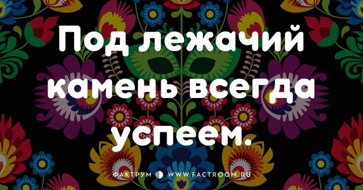 20 смешных современных поговорок, которых вы ещё не слышали 20 смешных современных поговорок, которых вы ещё не слышали