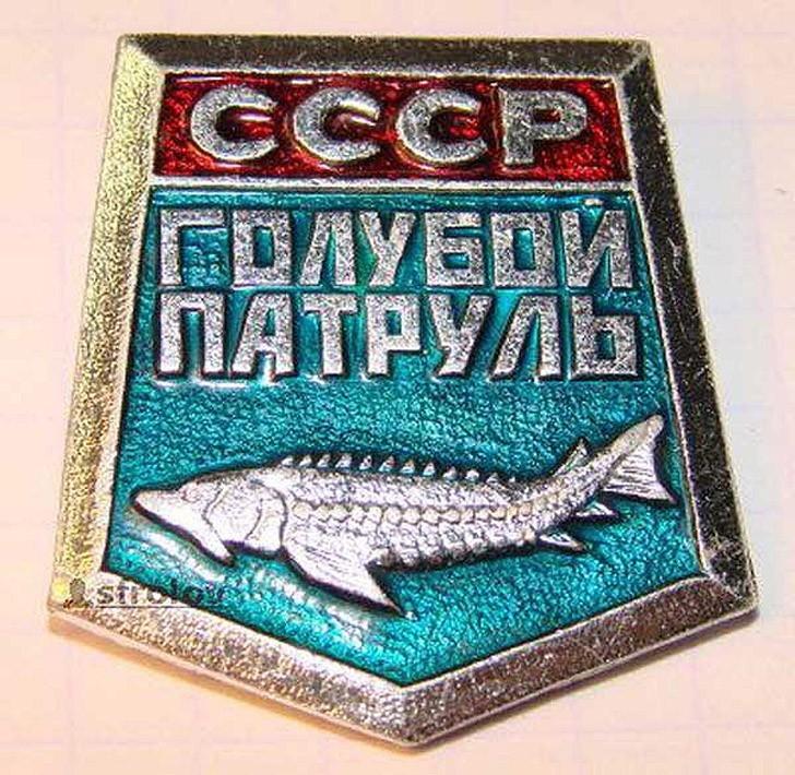 Что копили и собирали дети CCCP Что копили и собирали дети CCCP