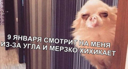 Немного юмора не помешает! Немного юмора не помешает!