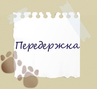 Мы всё равно ВЕРИМ! Мы всё равно ВЕРИМ!