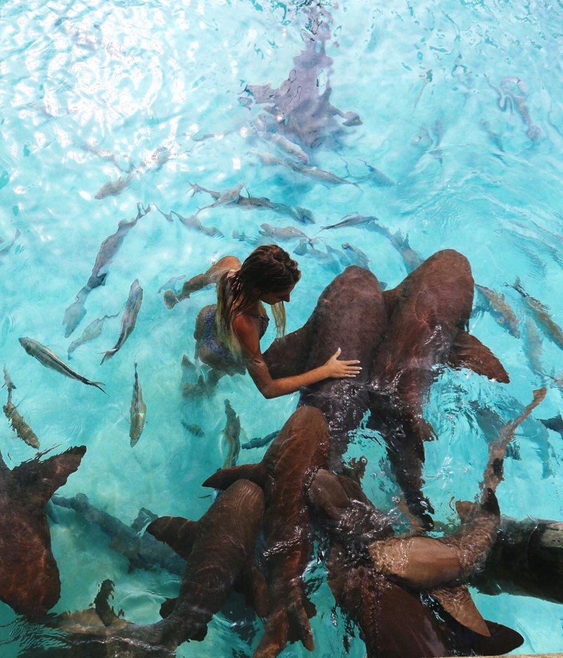  Студентка, которая путешествует по миру, чтобы сфотографироваться с невероятными морскими существами Сара Кохан, студентка