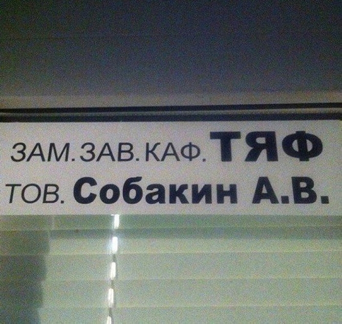 Зав. Каф. Тяф. Собакин. | Фото: fishki.net. Зав. Каф. Тяф. Собакин. | Фото: fishki.net.