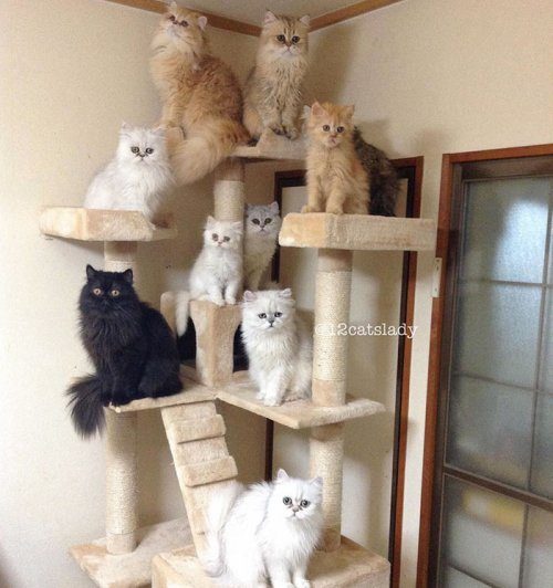   12- 