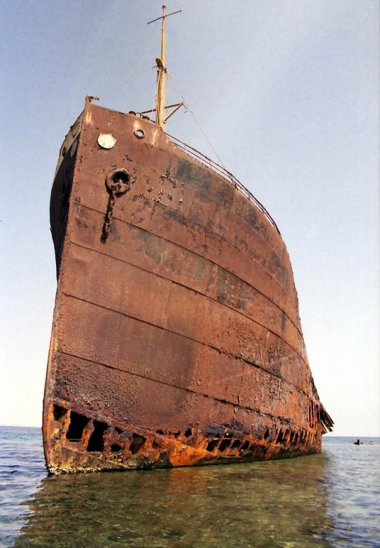 В Красном море. (JOOS J. BAKKER)