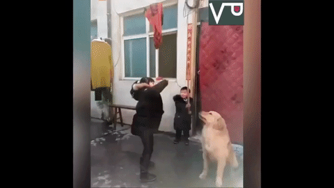 Лучшие друзья, которые всегда придут на помощь друг другу