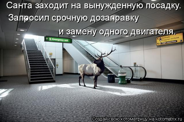 kotomatritsa_lg (640x426, 154Kb)