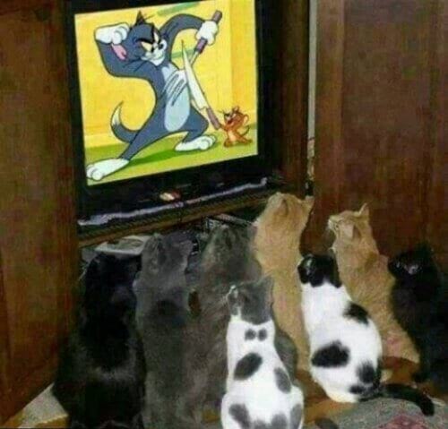 %image_alt%